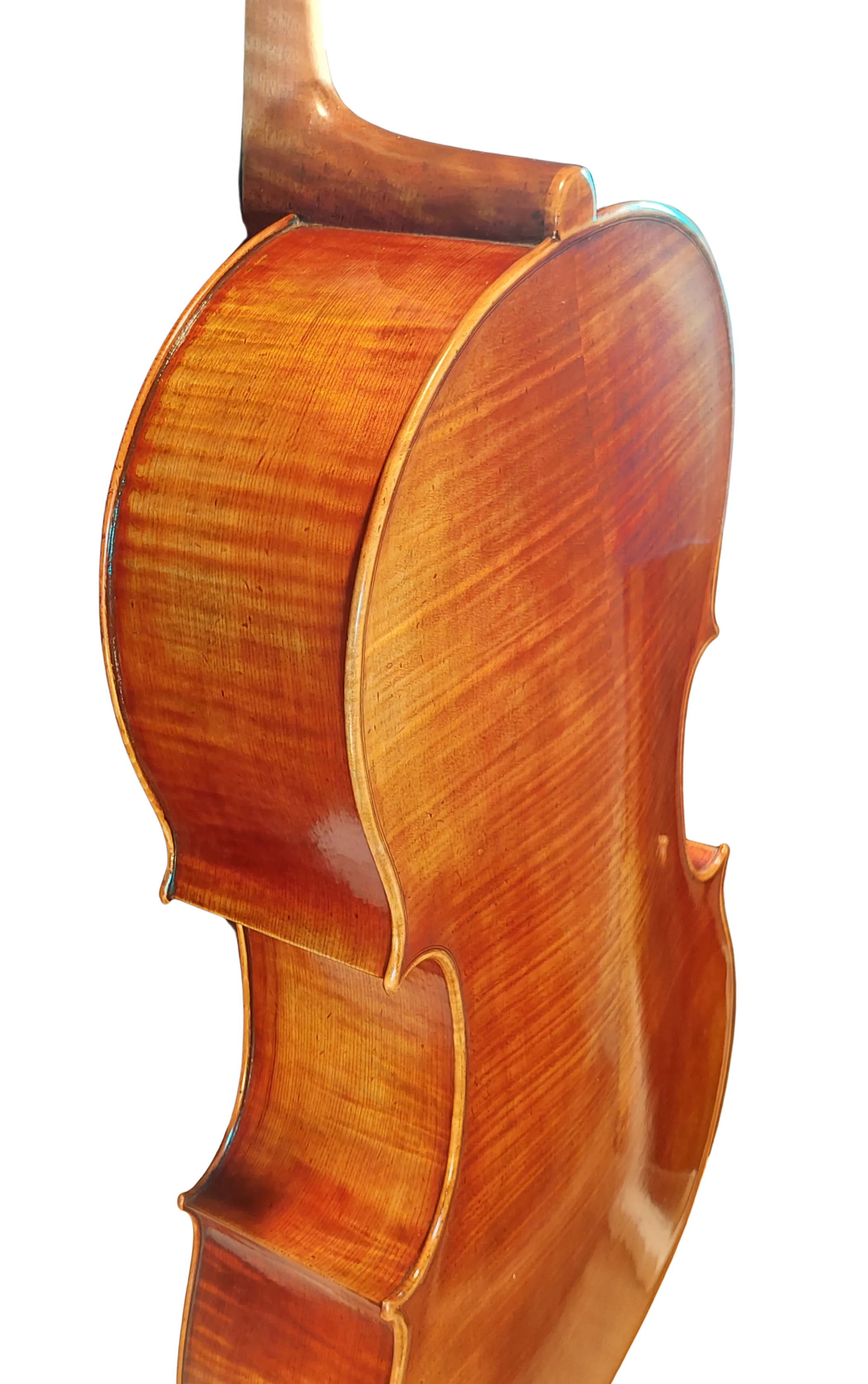 Golden Cello Antik-Lack