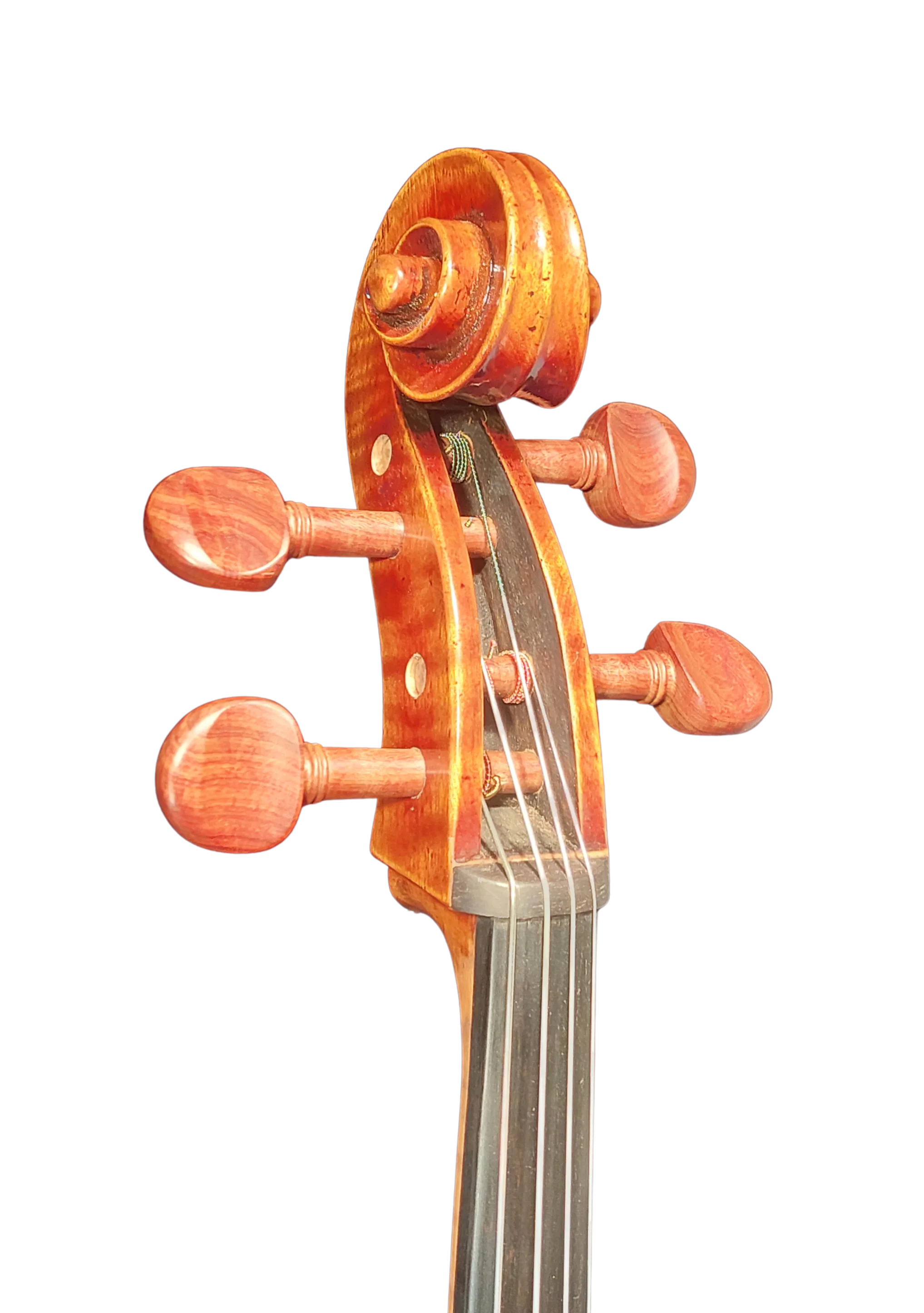 Golden Cello Antik-Lack