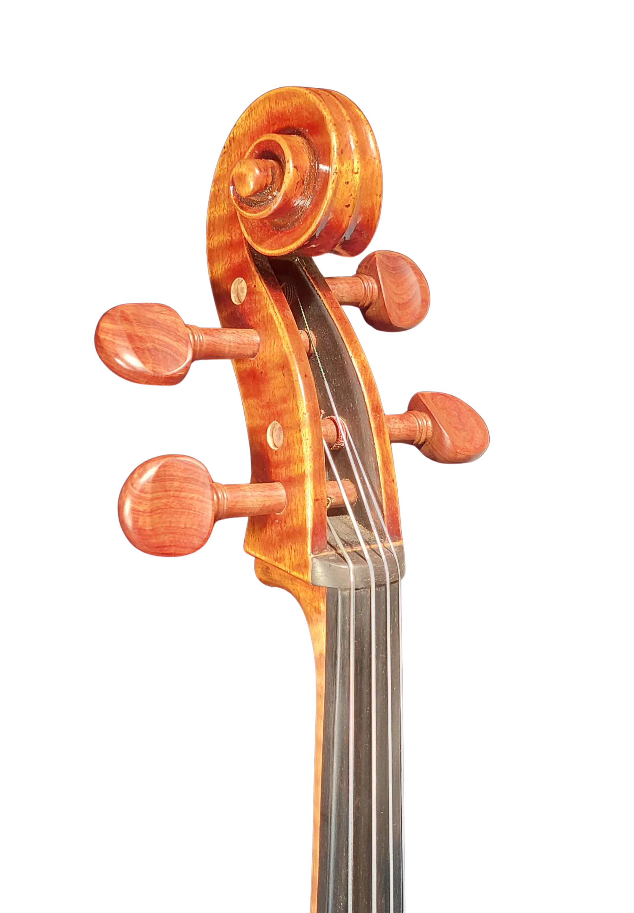 Golden Cello Antik-Lack