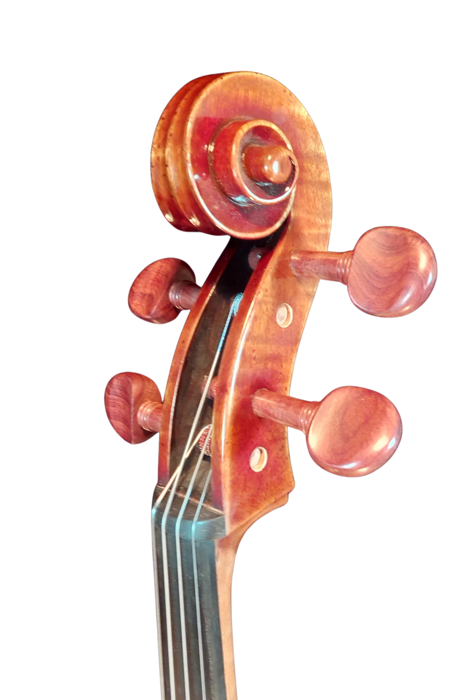 Golden Cello Antik-Lack