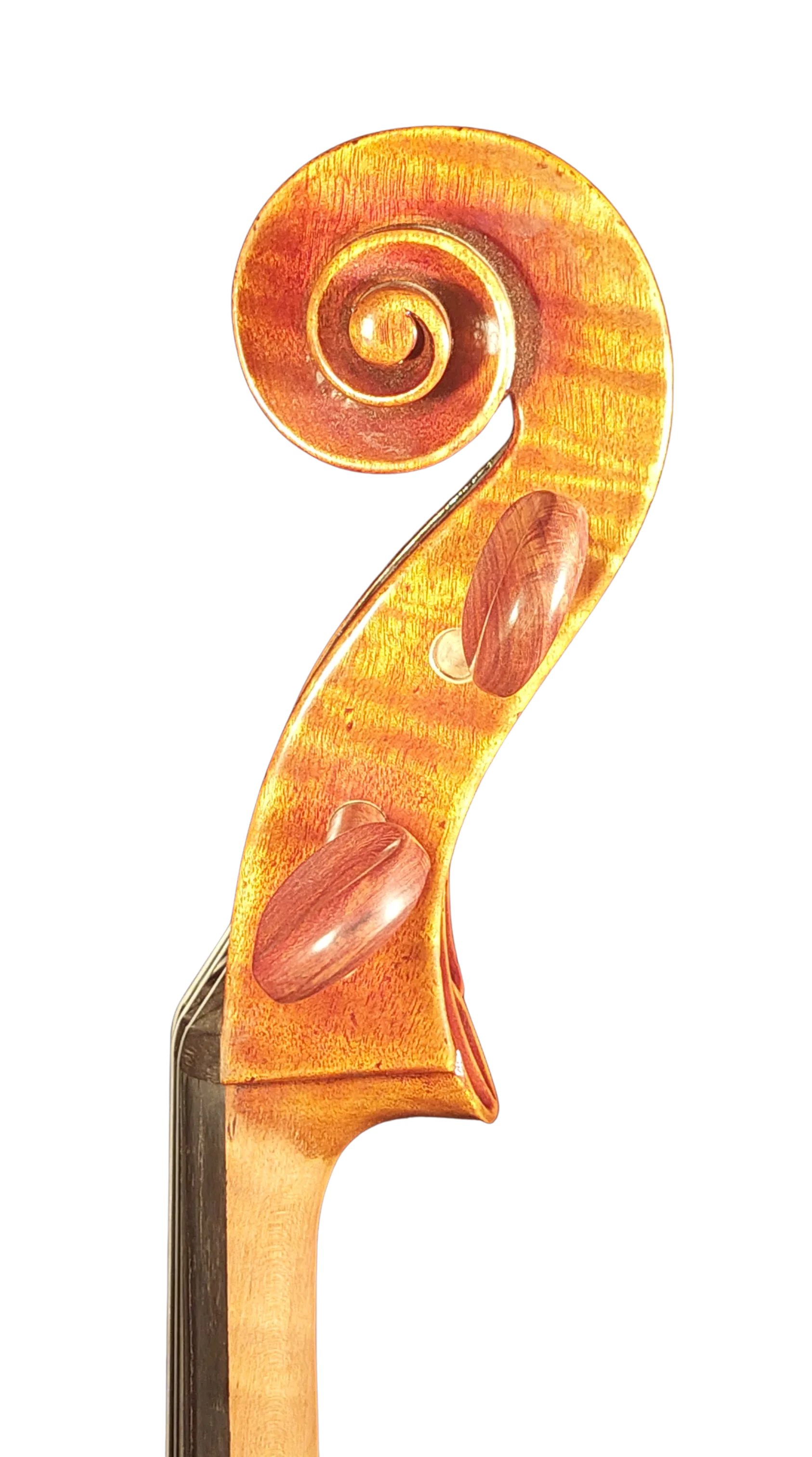 Golden Cello Antik-Lack