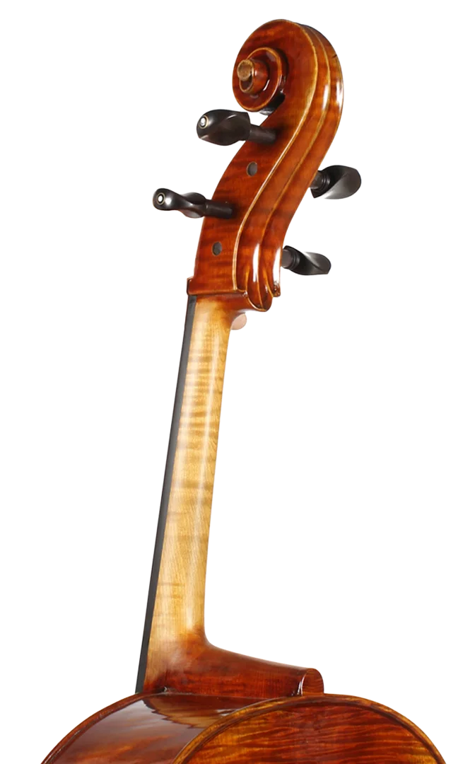 Golden Cello Calla-Lily Sets