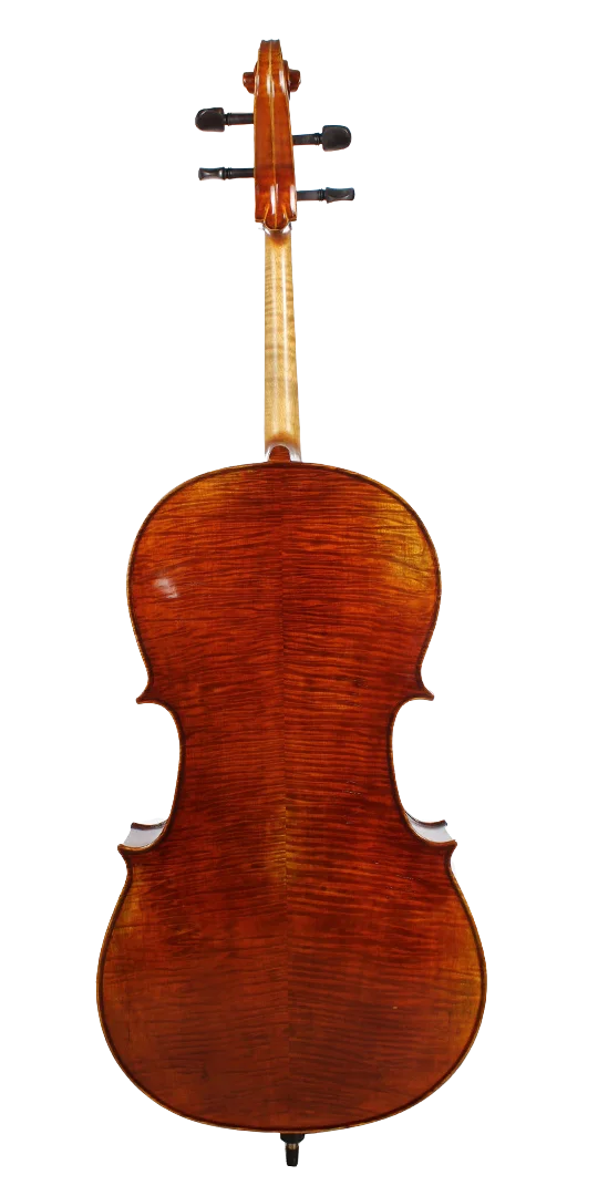 Golden Cello Calla-Lily Sets