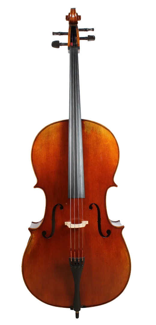 Golden Cello Calla-Lily Sets