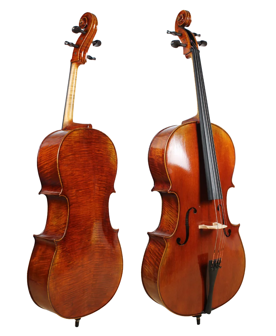 Golden Cello Calla-Lily Sets