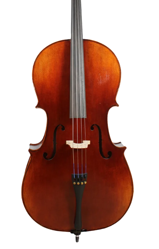 Golden Cello Fuchsia Sets