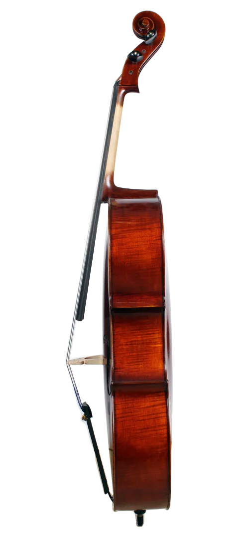 Golden Cello Fuchsia Sets