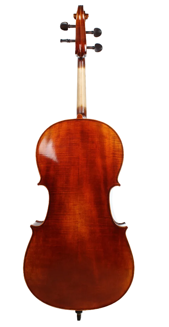 Golden Cello Fuchsia Sets