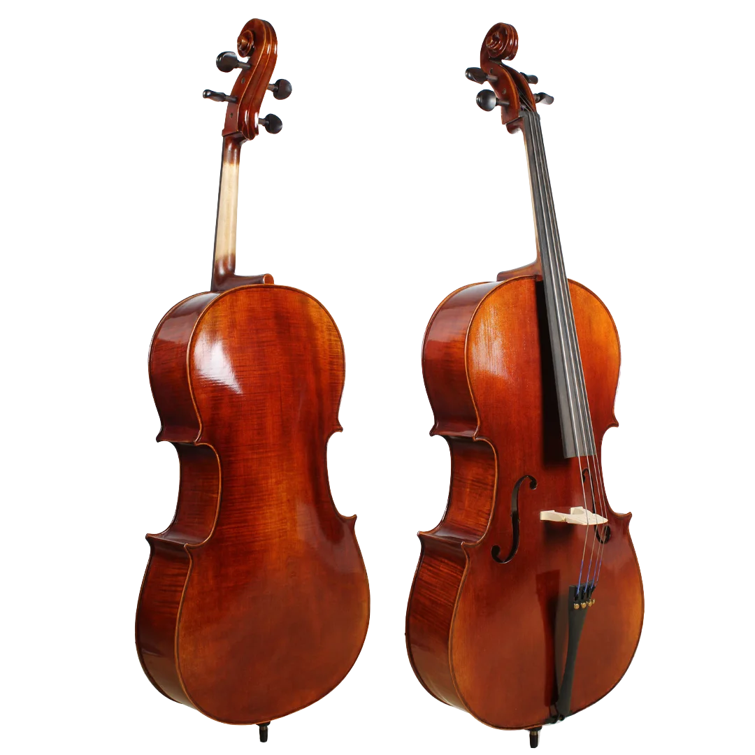 Golden Cello Fuchsia Sets