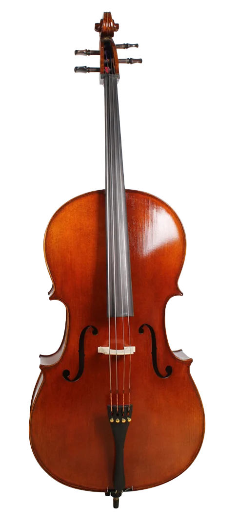 Golden Cello Fuchsia Sets