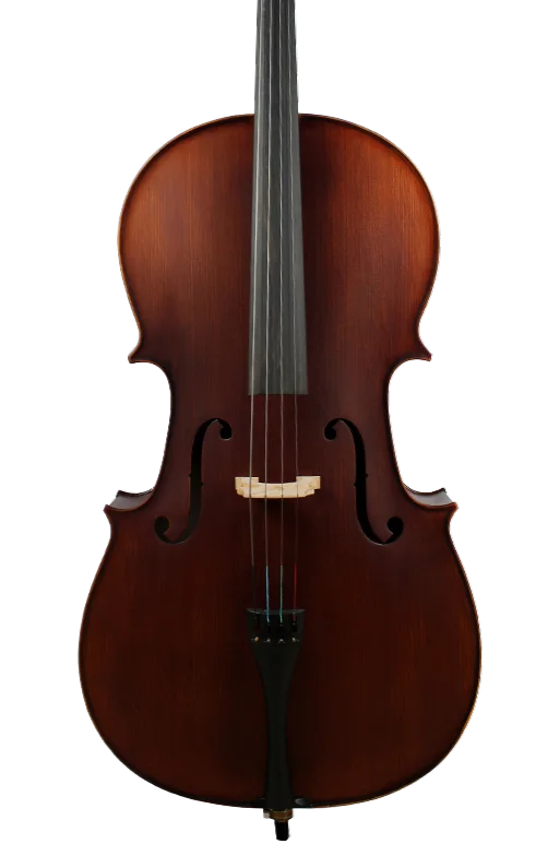 Golden Cello Kapuzinerkrasse  SetsSets