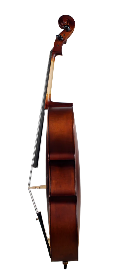 Golden Cello Kapuzinerkrasse  SetsSets