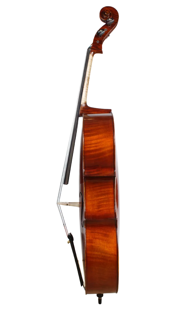 Golden Cello Lavendel Sets
