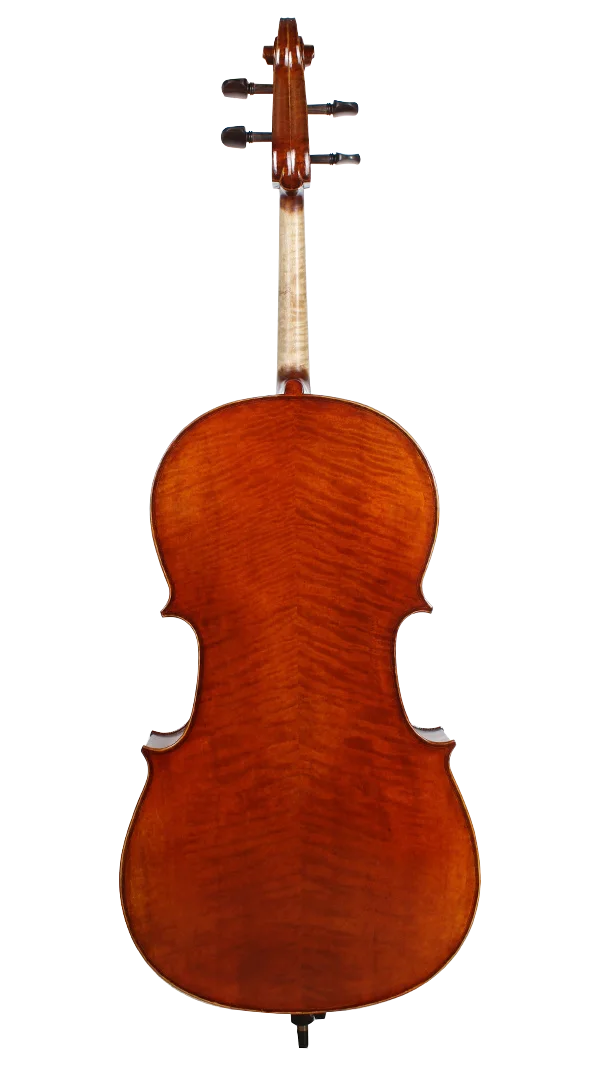 Golden Cello Lavendel Sets