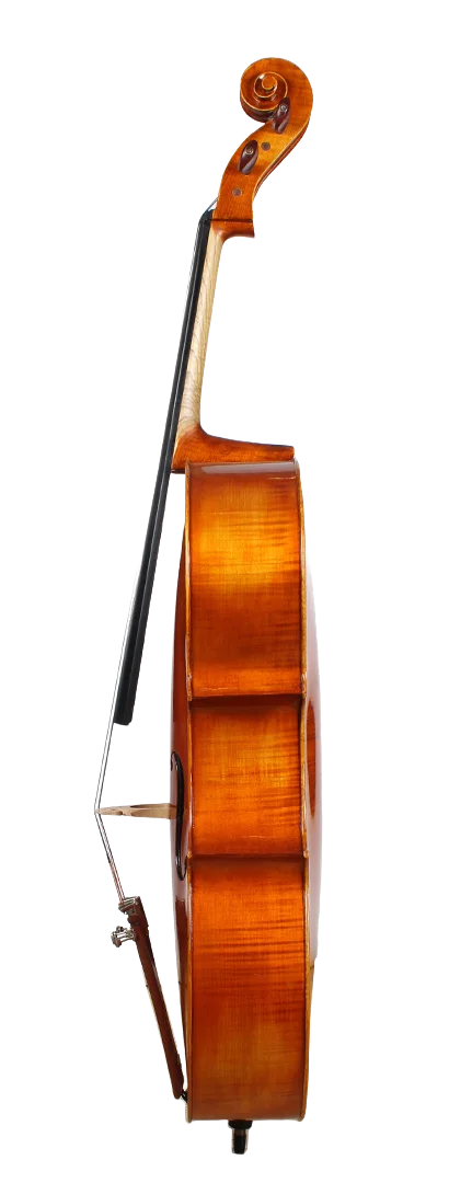 Golden Cello Literally Sets