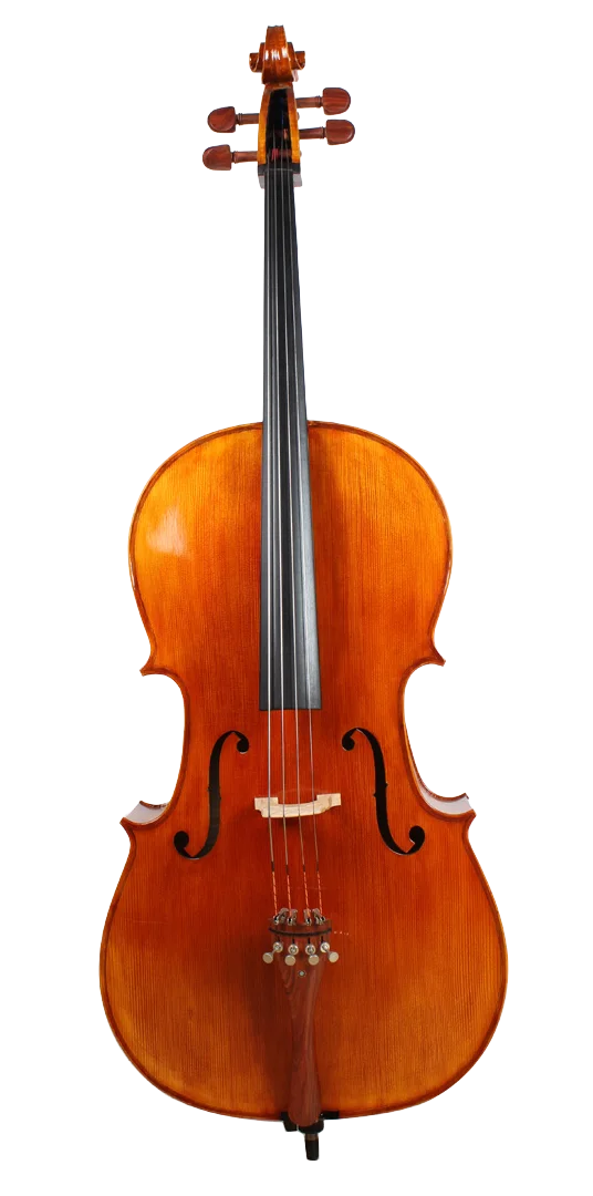 Golden Cello Literally Sets