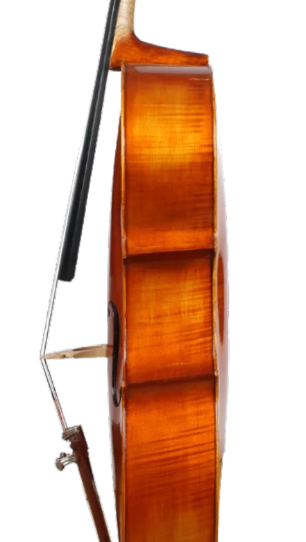 Golden Cello Literally Sets