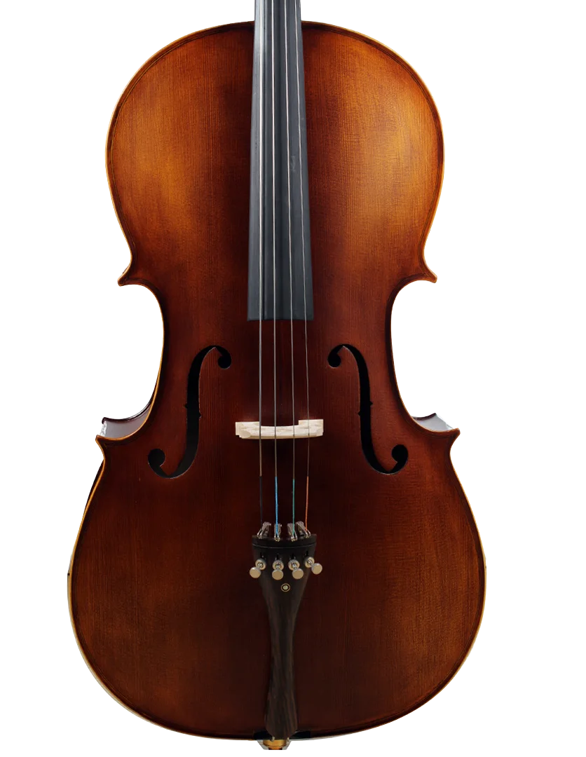 Golden Cello Marigold Sets