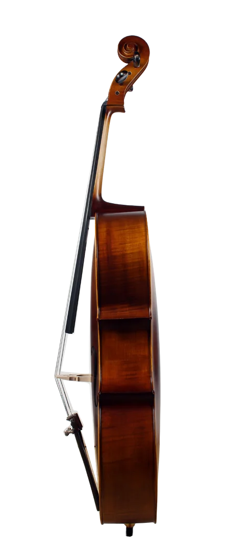 Golden Cello Marigold Sets