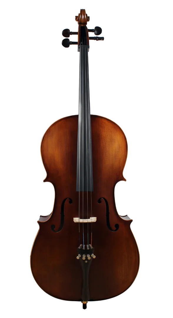 Golden Cello Marigold Sets