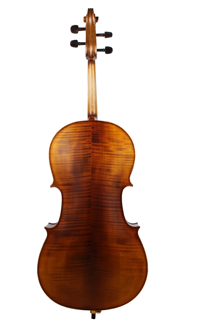 Golden Cello Marigold Sets