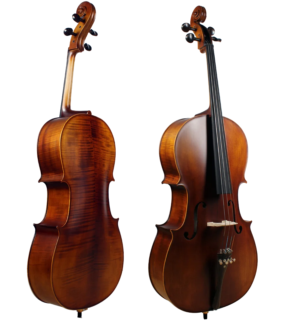 Golden Cello Marigold Sets