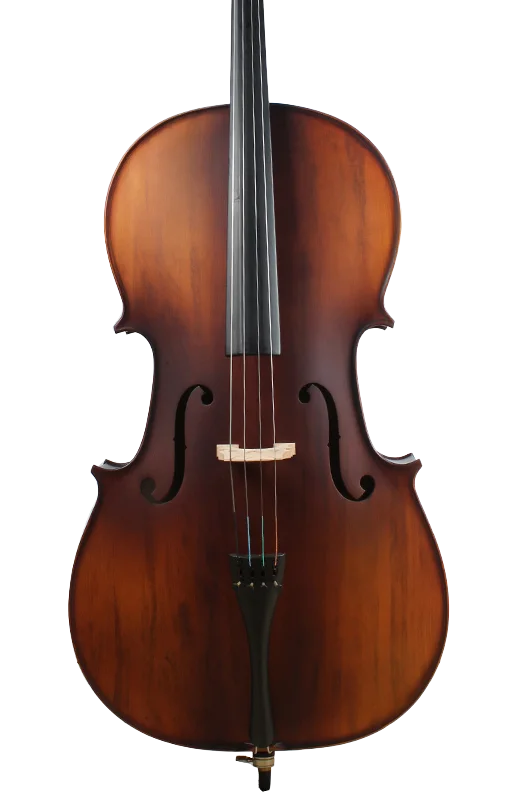 Golden Cello Narzisse Sets