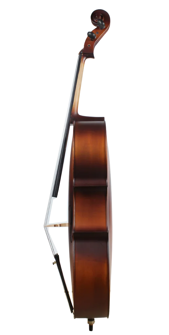 Golden Cello Narzisse Sets
