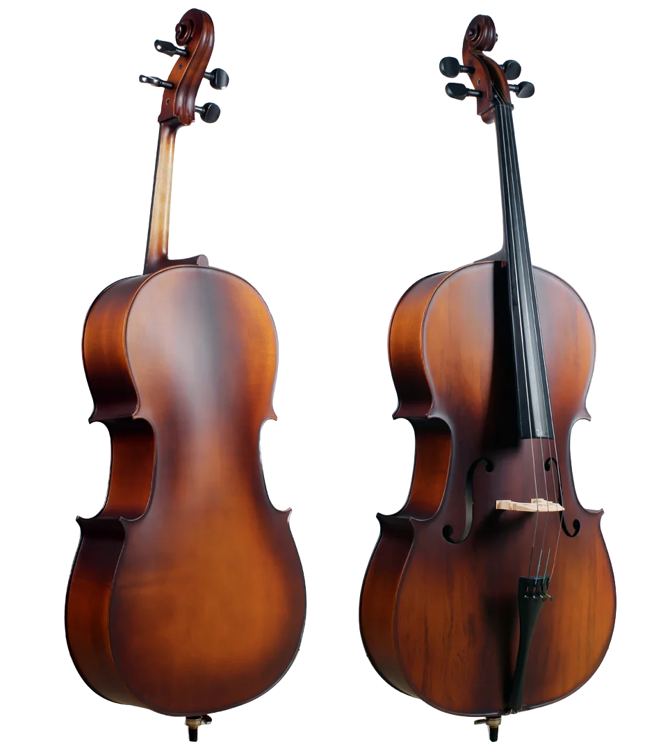 Golden Cello Narzisse Sets