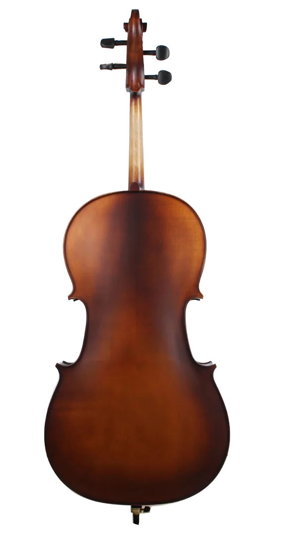 Golden Cello Narzisse Sets