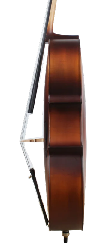 Golden Cello Narzisse Sets