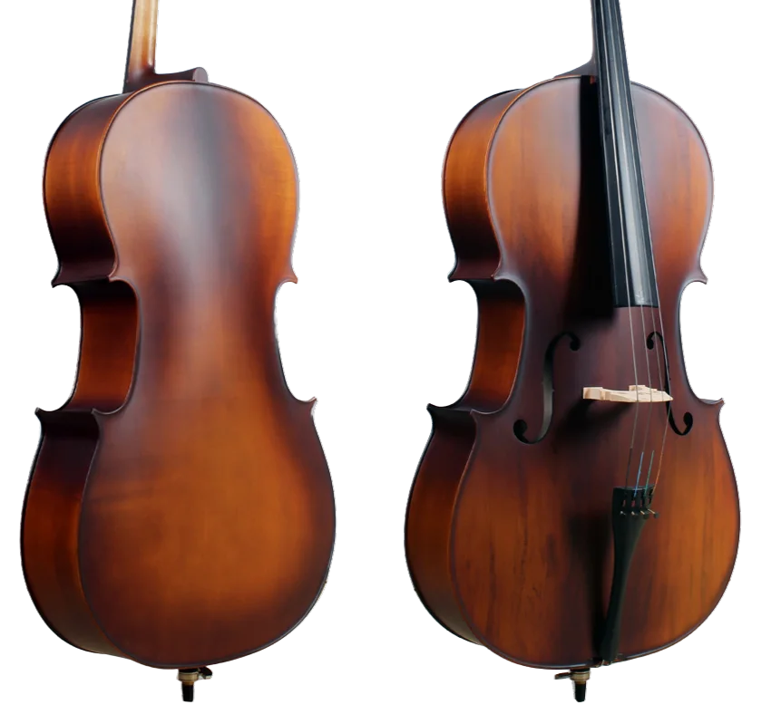 Golden Cello Narzisse Sets