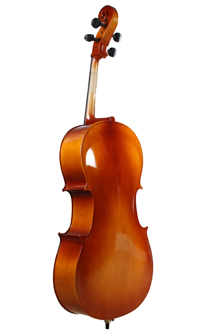 Golden Cello Orchidee Sets