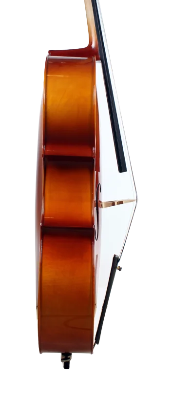Golden Cello Orchidee Sets