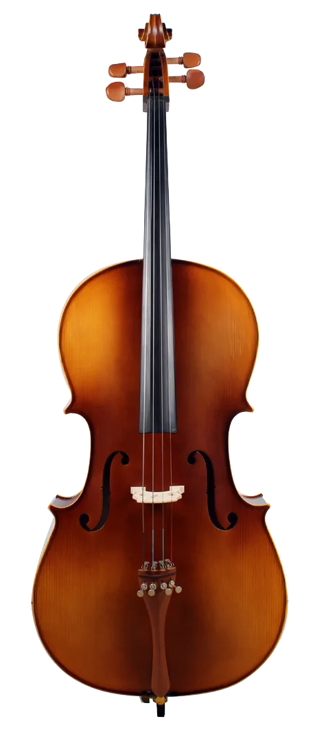 Golden Cello Peony Sets