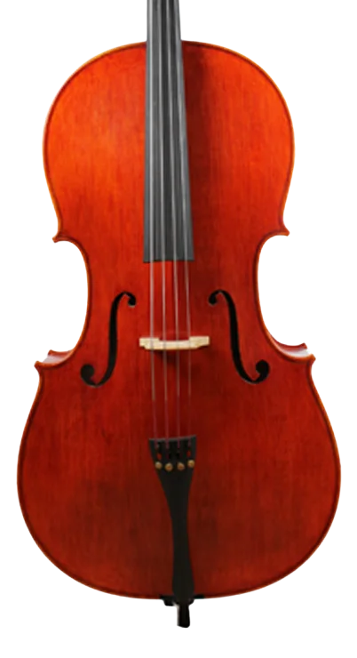 Golden Cello Rose Sets