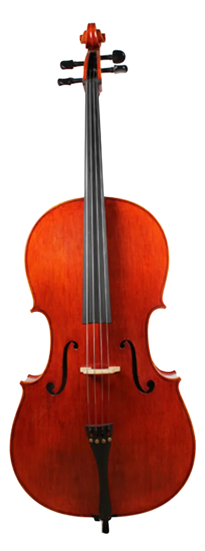 Golden Cello Rose Sets