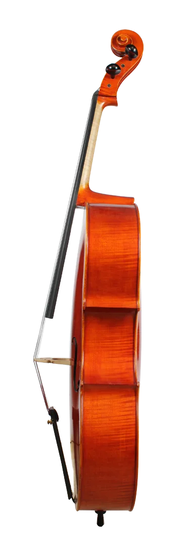 Golden Cello Rose Sets