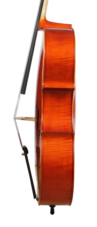 Golden Cello Rose Sets