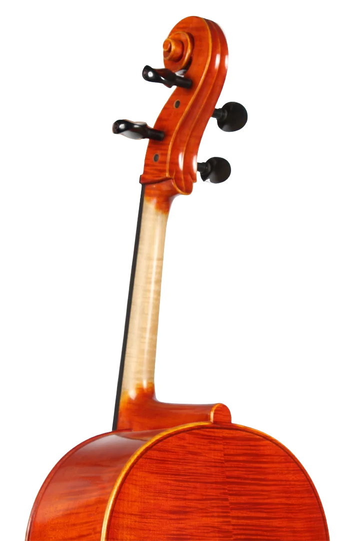 Golden Cello Rose Sets