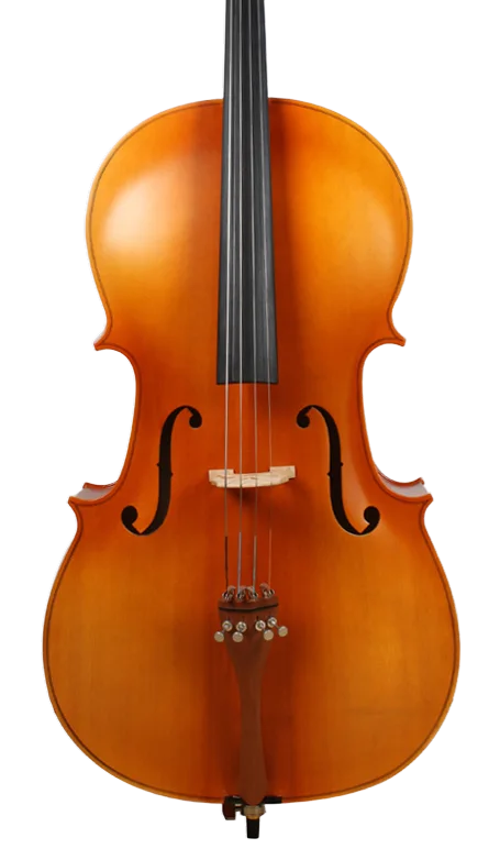 Golden Cello Velchen Sets