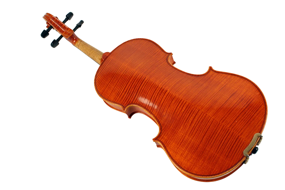 Violine Golden Musik Meister