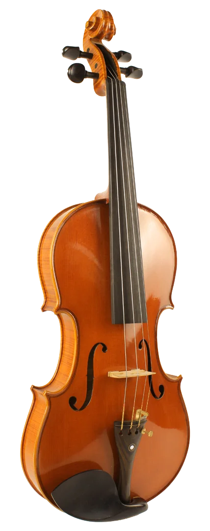 Violine Golden Musik Meister
