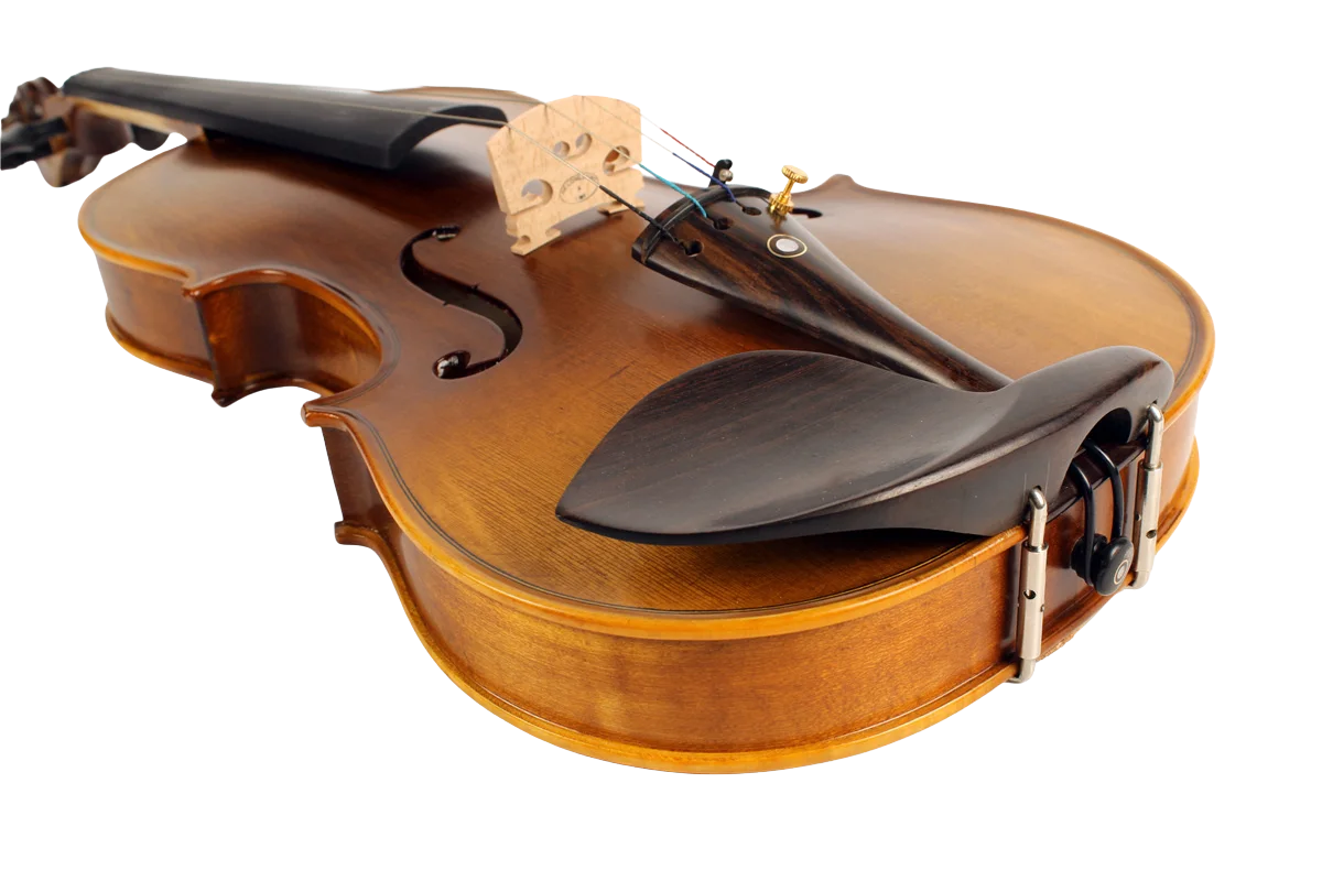 Violine Golden Musik Bolzano