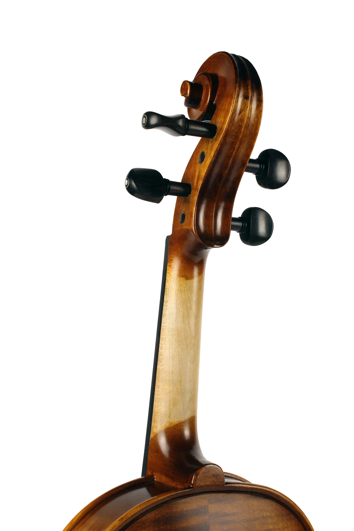 Violine Golden Musik Bolzano