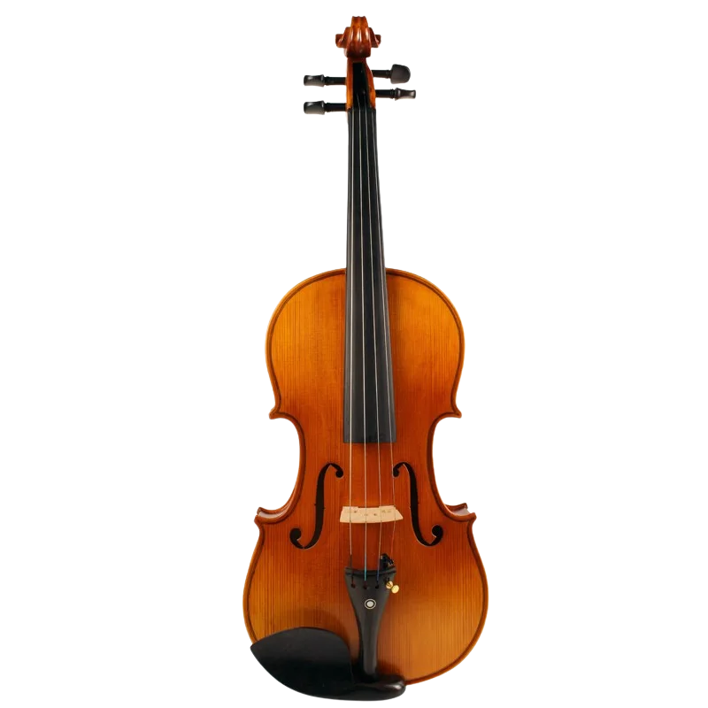 Violine Golden Musik Paolo