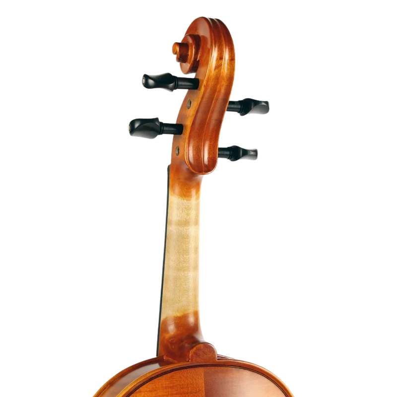 Violine Golden Musik Paolo