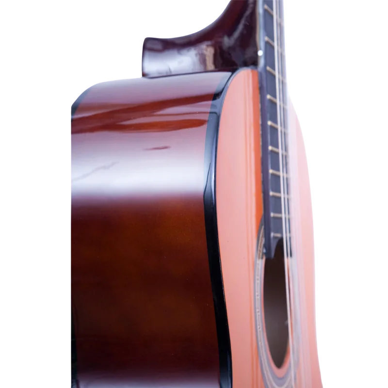 Guitar Leonidas