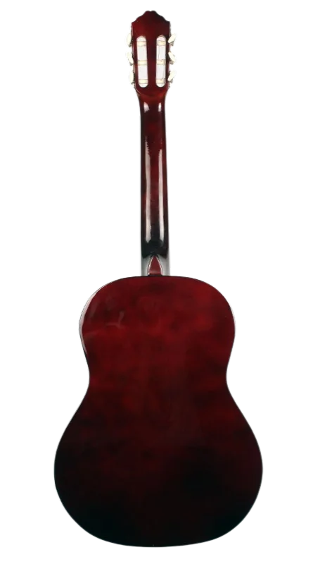 Guitar Leonidas