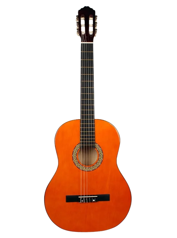 Guitar Leonidas
